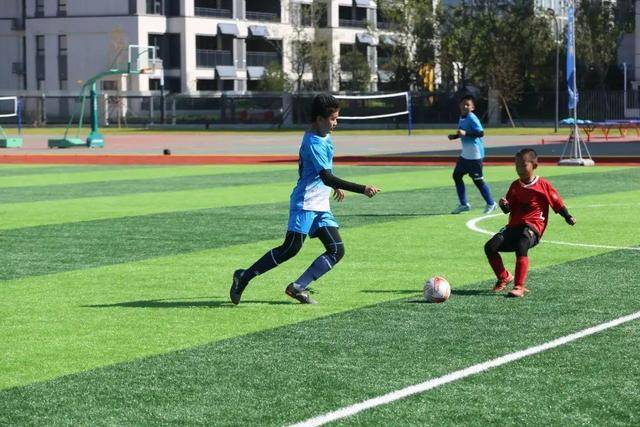 杨鸣：中国篮球的门面目前还得看女篮